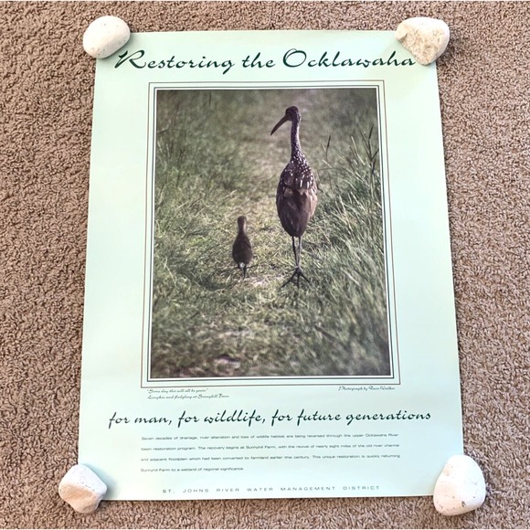 Other - Restoring the Ocklawaha 16x21 Environmental Wildlife Poster St. Johns‎ River